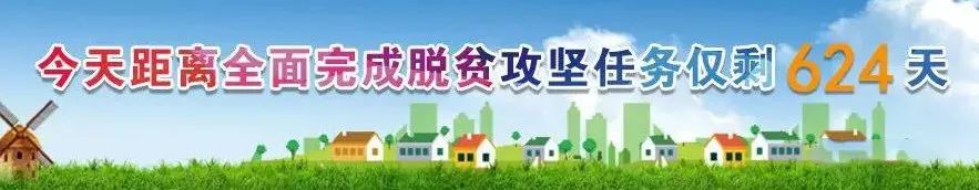 【焦点】一万名、新建农厕、“两癌”免检......2019年这“10件实事”，定了！