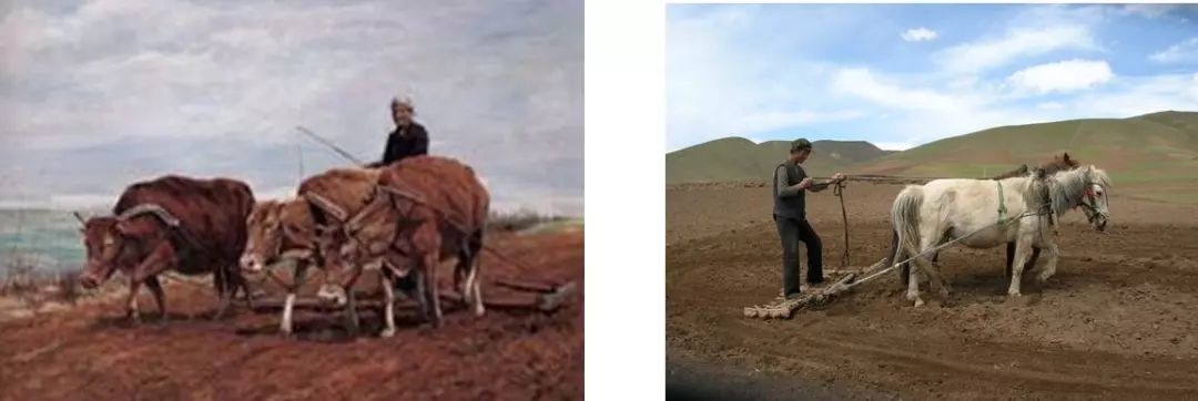 尘封的农具：犁、耙、托（许广洲）