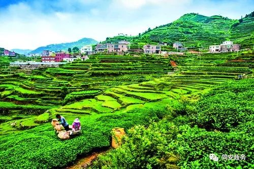 同安文化游,古韵同安图片