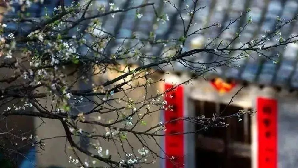 小长假私藏目的地！睡进上海这些小而美的民宿，让大自然对你轻轻说声早安可好？