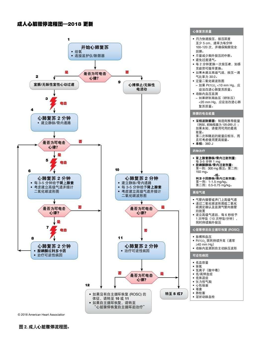 遇到心脏骤停的人如何做心肺复苏,简单迅速判断心脏骤停的标准