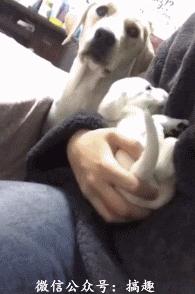 4月18日每天3分钟尽览天下事(郑州一批地铁站名公示,向您征建议/郑阜高铁年底通车,郑州2小时可达合肥)