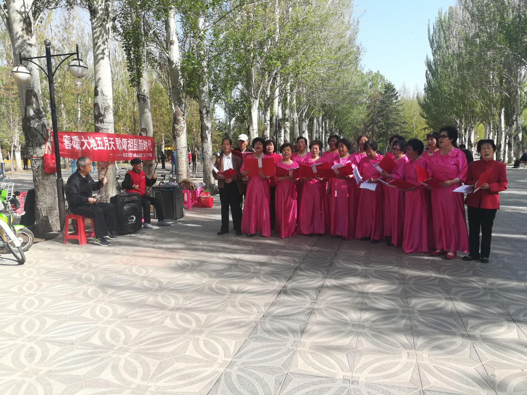 巾帼心向党开展奋楫绽芳华活动,巾帼心向党凝心聚力展风采