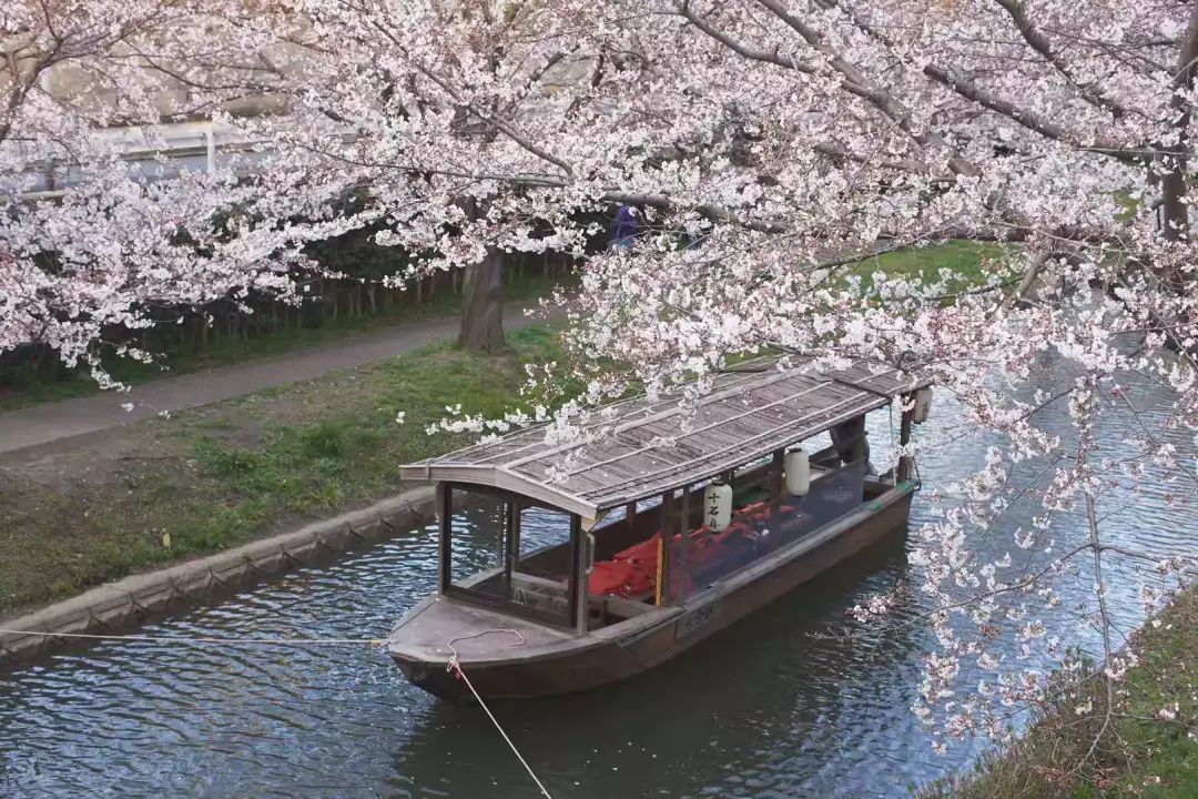 为什么结婚后抖音就没人点赞了,结婚后朋友圈点赞的人少了