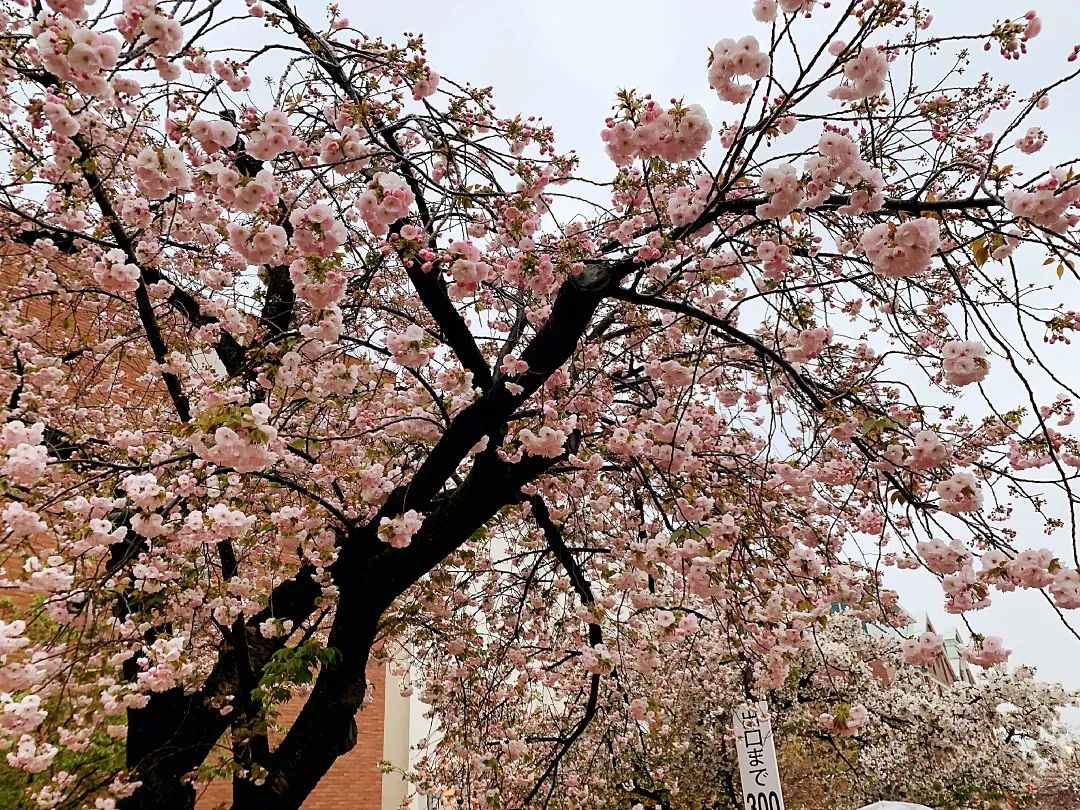 为什么结婚后抖音就没人点赞了,结婚后朋友圈点赞的人少了