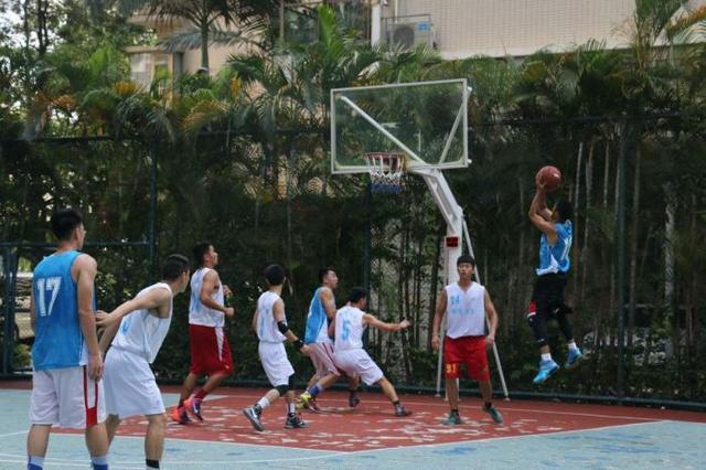 迈克达威护踝为什么那么贵,李宁迈克达威髌骨带