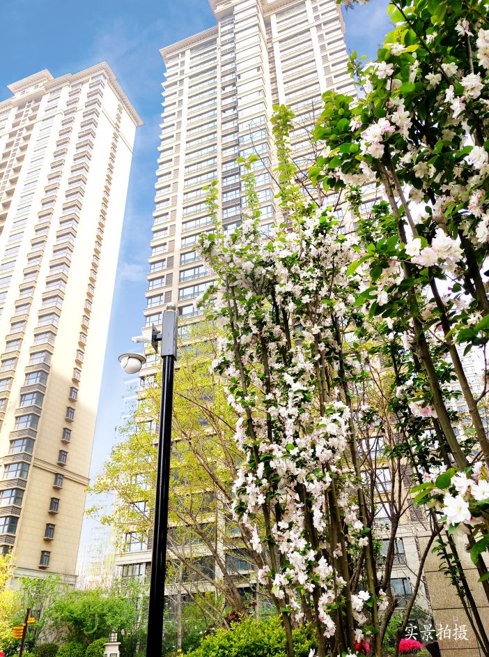 城西新盘首开刚需户型,楼市利好扎堆来袭