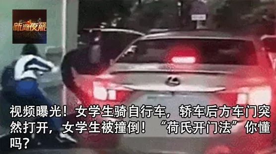 最贵赛鸽多少钱一只什么品种,天价赛鸽对鸽子有什么启示