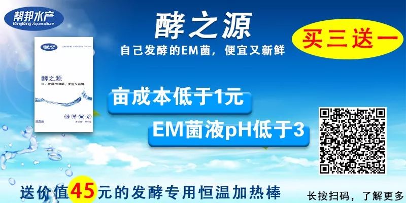 阴雨天气鱼塘水浑浊怎么处理,雨后池塘水质浑浊原因