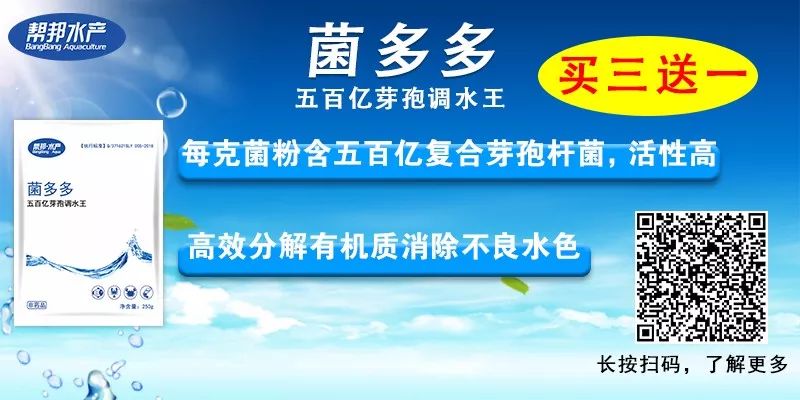 阴雨天气鱼塘水浑浊怎么处理,雨后池塘水质浑浊原因