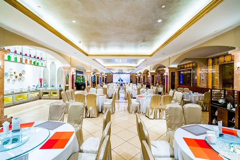 38元秒抢呼伦贝尔宾馆星级自助餐,刚一坐下就回本!