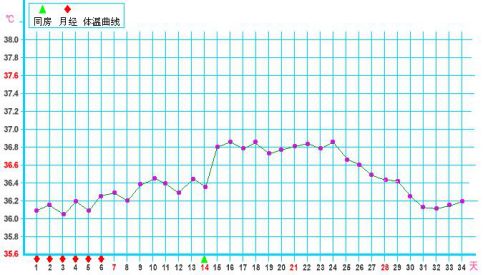 怎么算排卵期和易孕期,怎么算排卵期最简单的算法