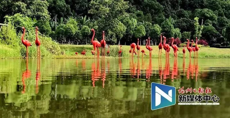 地铁2号线试乘券领取现场超火爆!我们汇总了沿线美景美食!