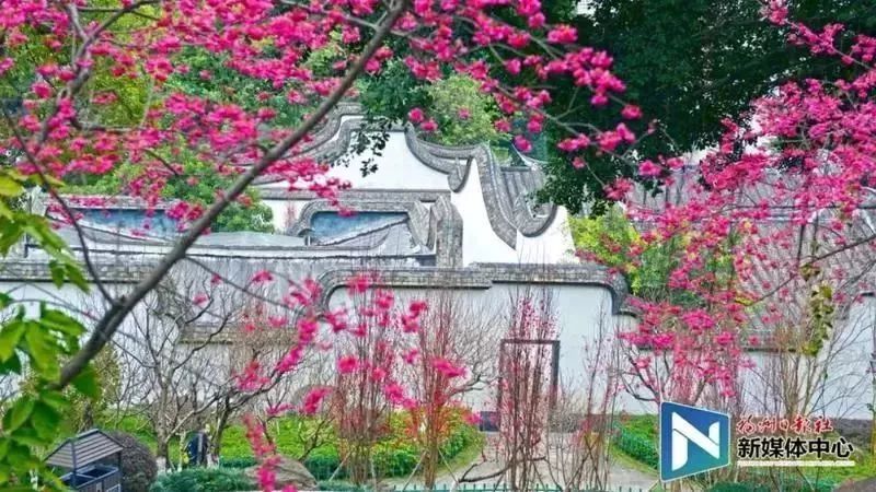 地铁2号线试乘券领取现场超火爆!我们汇总了沿线美景美食!