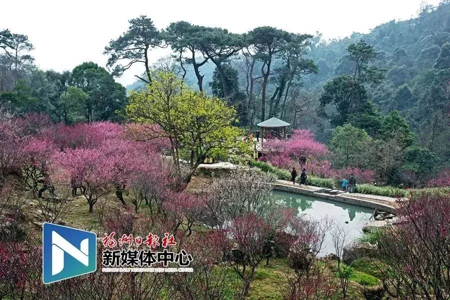 地铁2号线试乘券领取现场超火爆!我们汇总了沿线美景美食!