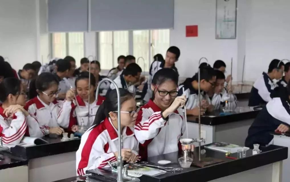 优秀毕业生最高奖10万！石狮市中英文实验学校2019年招生啦！