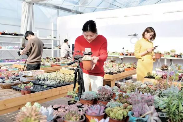 蹲点采访环卫工人8小时工作,蹲点采访