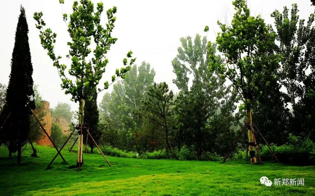 龙湖镇：值得新郑人骄傲的全国百强镇