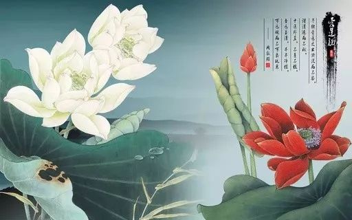 爱莲说朗诵背景音乐加字幕视频,爱莲说英文版如何背诵