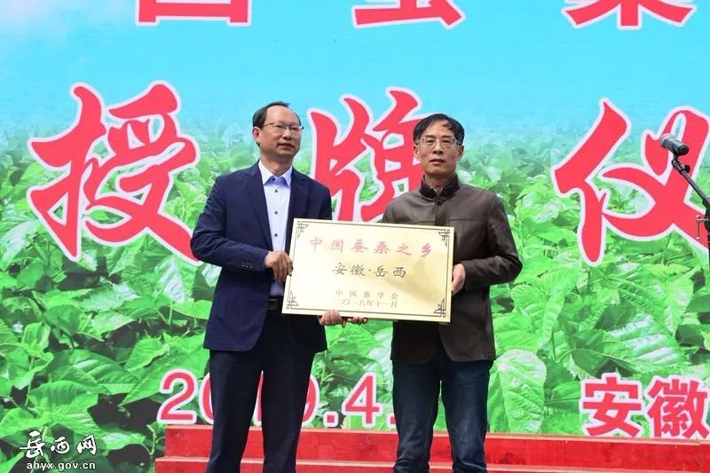 第十四届岳西县映山红旅游文化月,岳西映山红文化旅游节