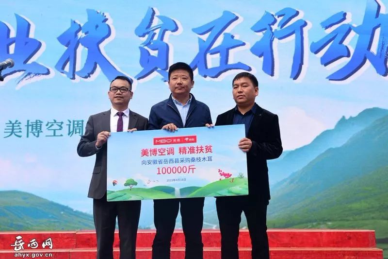 第十四届岳西县映山红旅游文化月,岳西映山红文化旅游节