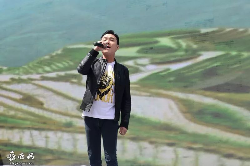 第十四届岳西县映山红旅游文化月,岳西映山红文化旅游节