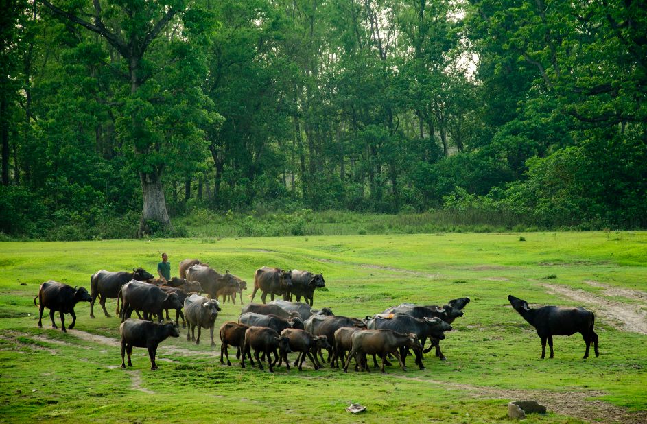 自由行免签国家机票便宜,说走就走的免签国家攻略