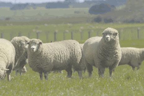 脚后跟套上这个“*钟金**罩”夏季穿鞋嫩到反光！干裂、老茧、死皮都没了！