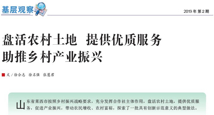 盘活抛荒土地助力乡村振兴,盘活闲置农房土地带动乡村振兴