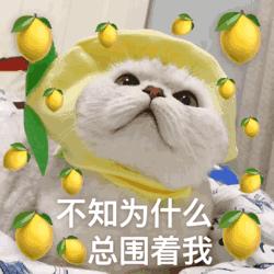 十大顶级珠宝包包品牌排名,好看的珠宝品牌推荐