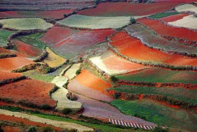 5月东川红土地旅游攻略,旅行记五彩斑斓的东川红土地