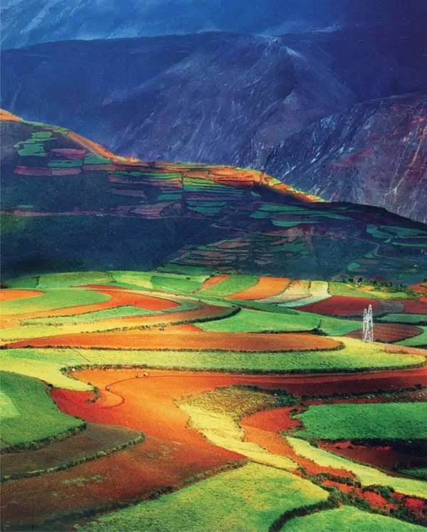 5月东川红土地旅游攻略,旅行记五彩斑斓的东川红土地