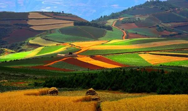 5月东川红土地旅游攻略,旅行记五彩斑斓的东川红土地
