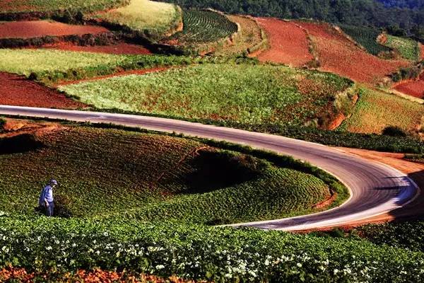 5月东川红土地旅游攻略,旅行记五彩斑斓的东川红土地