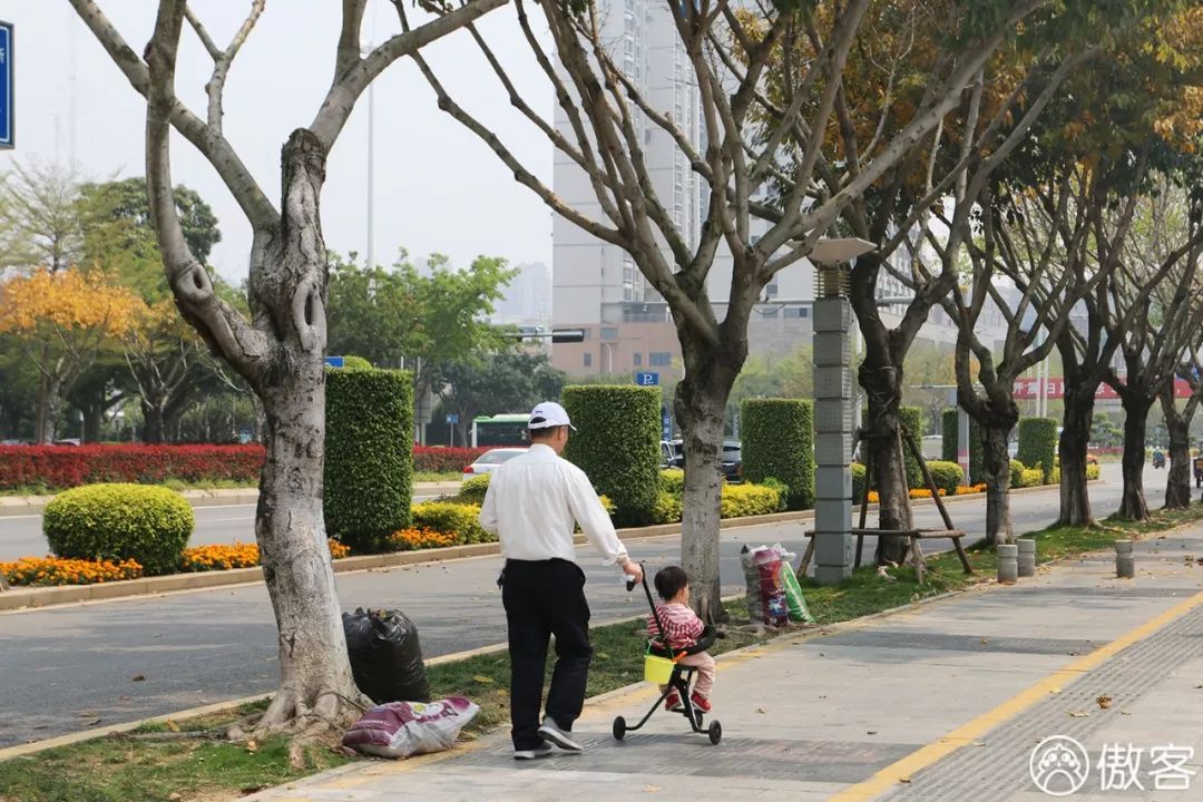 厦门海沧必去的美食店,厦门海沧地道美食