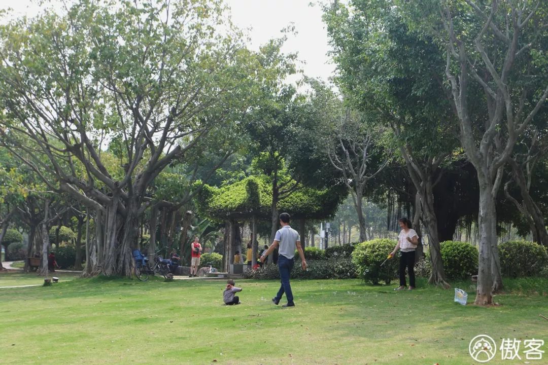 厦门海沧必去的美食店,厦门海沧地道美食