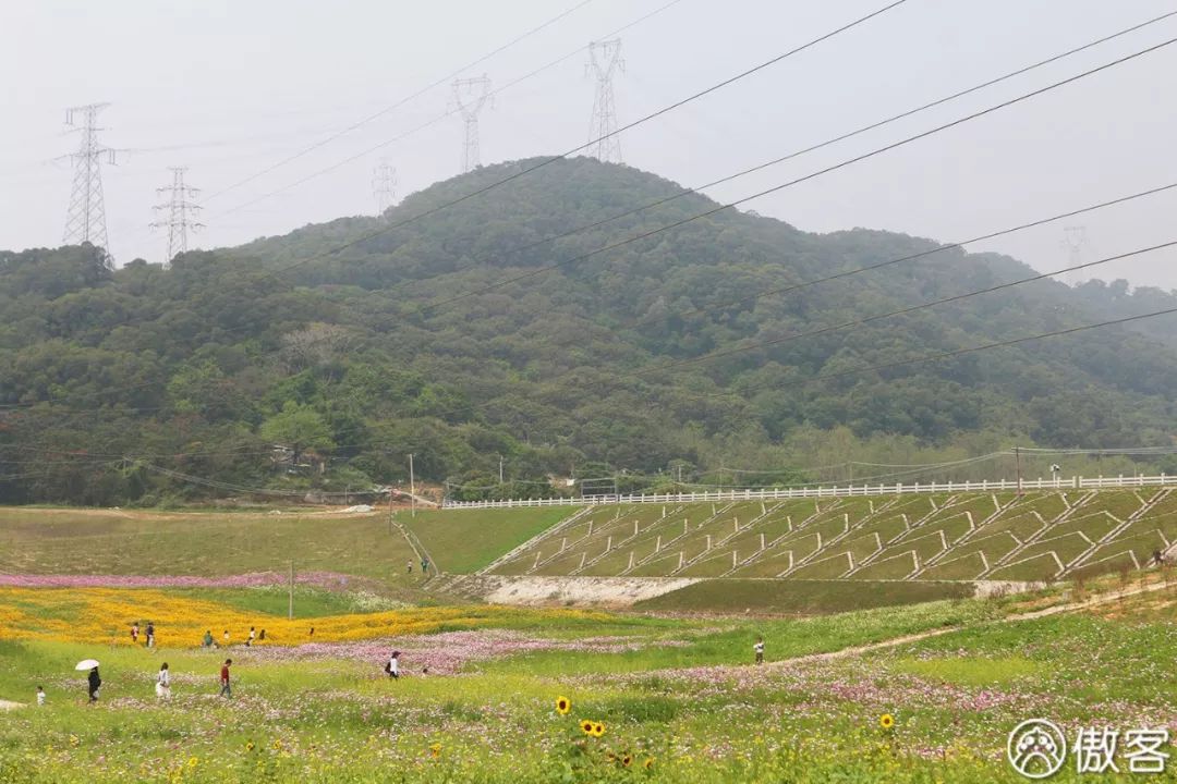 厦门海沧必去的美食店,厦门海沧地道美食