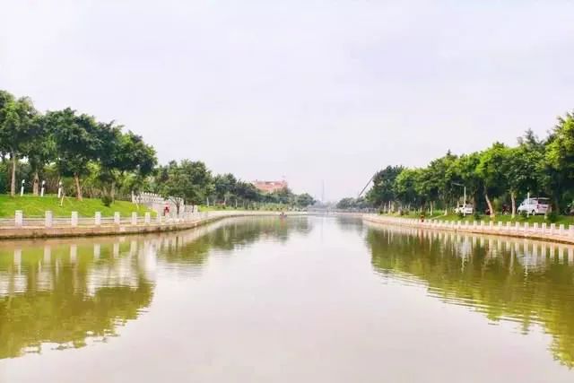 【创文百科】让河道“一键美颜”,番禺钟村有妙招