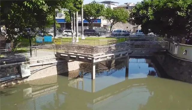 【创文百科】让河道“一键美颜”,番禺钟村有妙招
