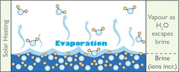 盐的咸味是哪来的?|No.151