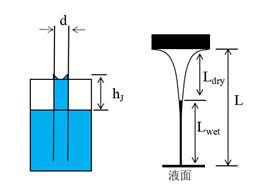 盐的咸味是哪来的?|No.151