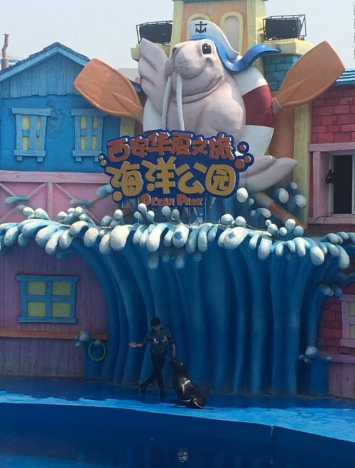 放飞海洋梦想感受丝路门票,西安公益研学之旅