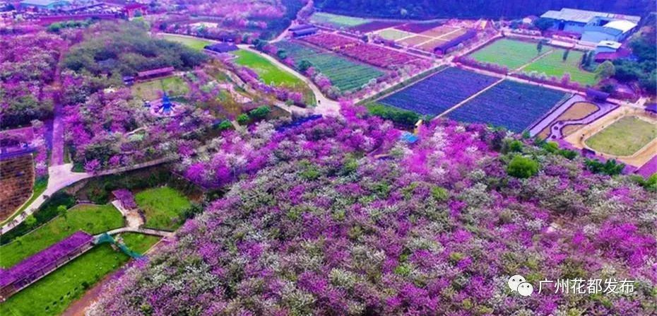 济南融创文旅城开业倒计时36天,广州花都融创文旅城c2区