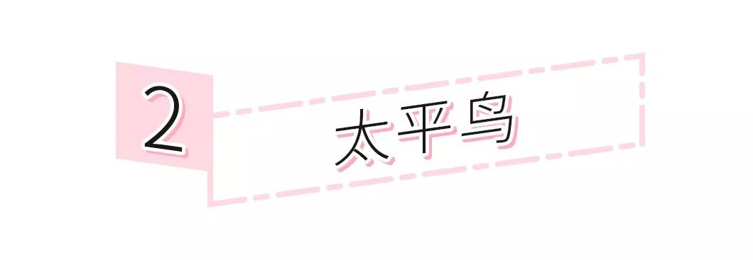 春夏必备小裙子大合集,春夏小裙子合集