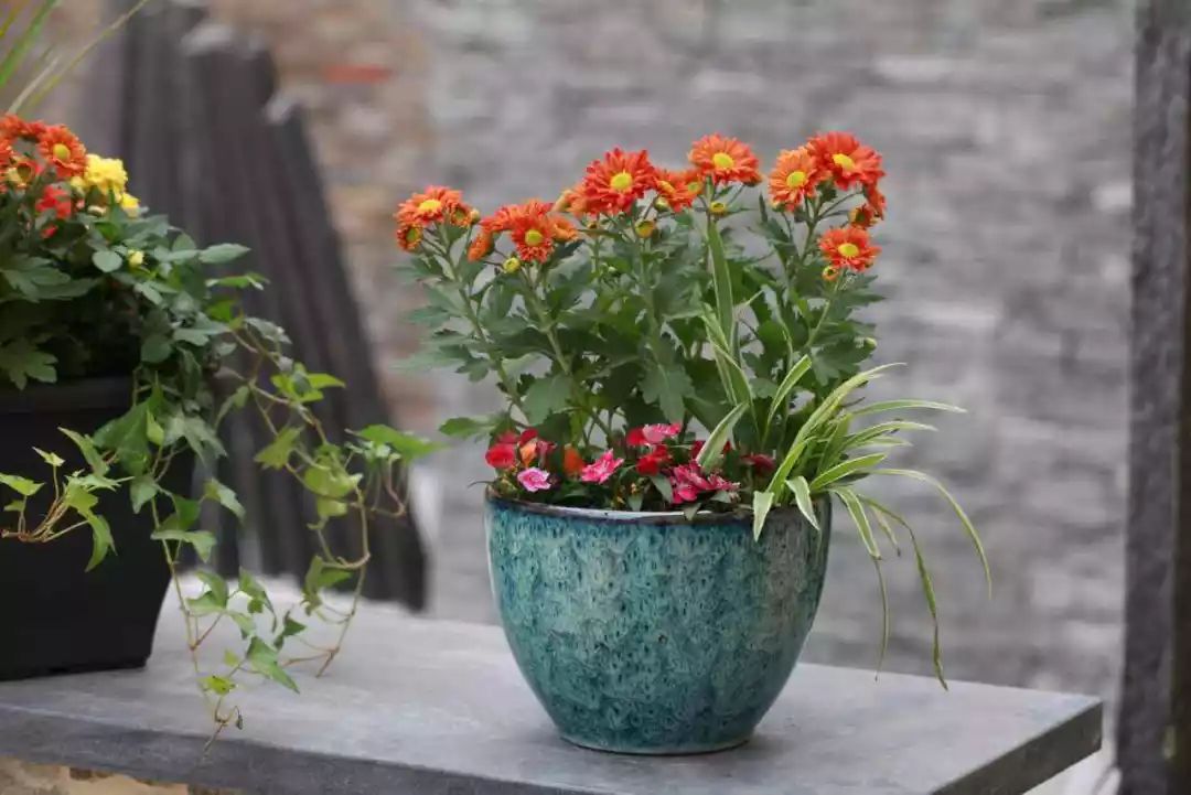 过期的药不要扔,过期的药片千万别扔教你废物利用