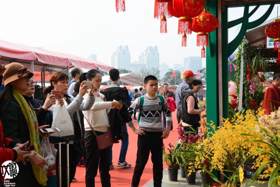 嗨青秀大寒视频,嗨青秀完整视频