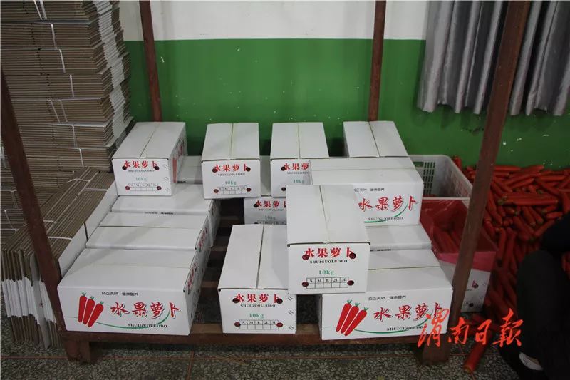 板岩镇强化党建引领促进乡村振兴,腊竹底村党建引领助推乡村振兴