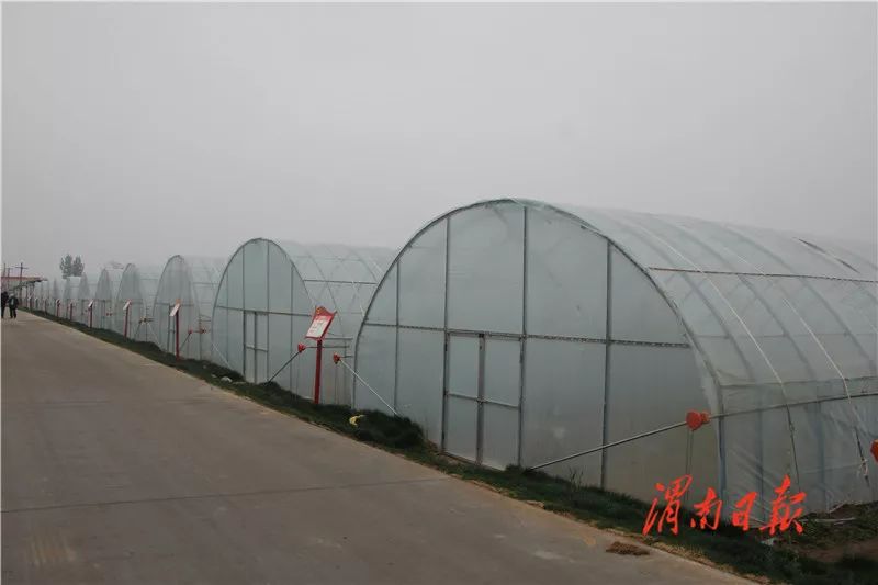 板岩镇强化党建引领促进乡村振兴,腊竹底村党建引领助推乡村振兴