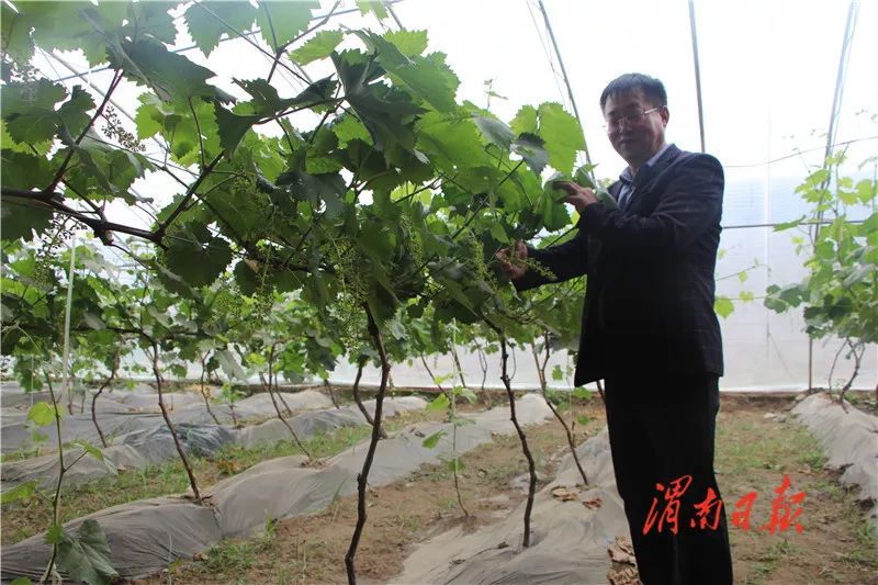 板岩镇强化党建引领促进乡村振兴,腊竹底村党建引领助推乡村振兴