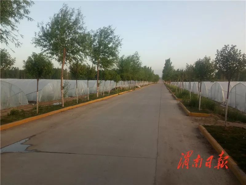 板岩镇强化党建引领促进乡村振兴,腊竹底村党建引领助推乡村振兴